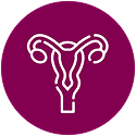 Gynaecological icon