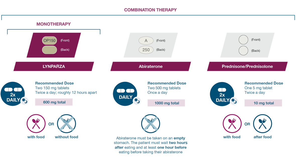 LYNPARZA monotherapy and combined therapy dosing regimen