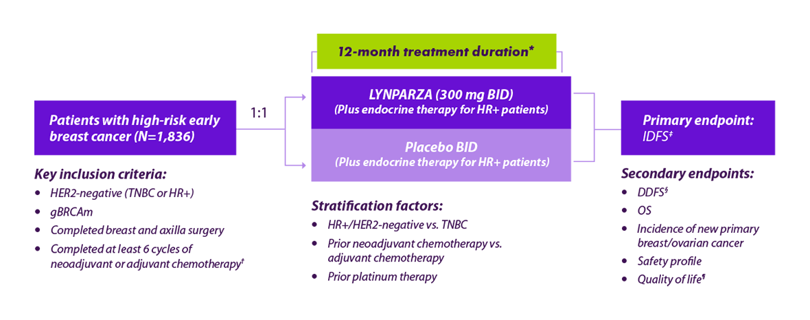 An infographic to show the structure of the OlympiA clinical trial and it's duration