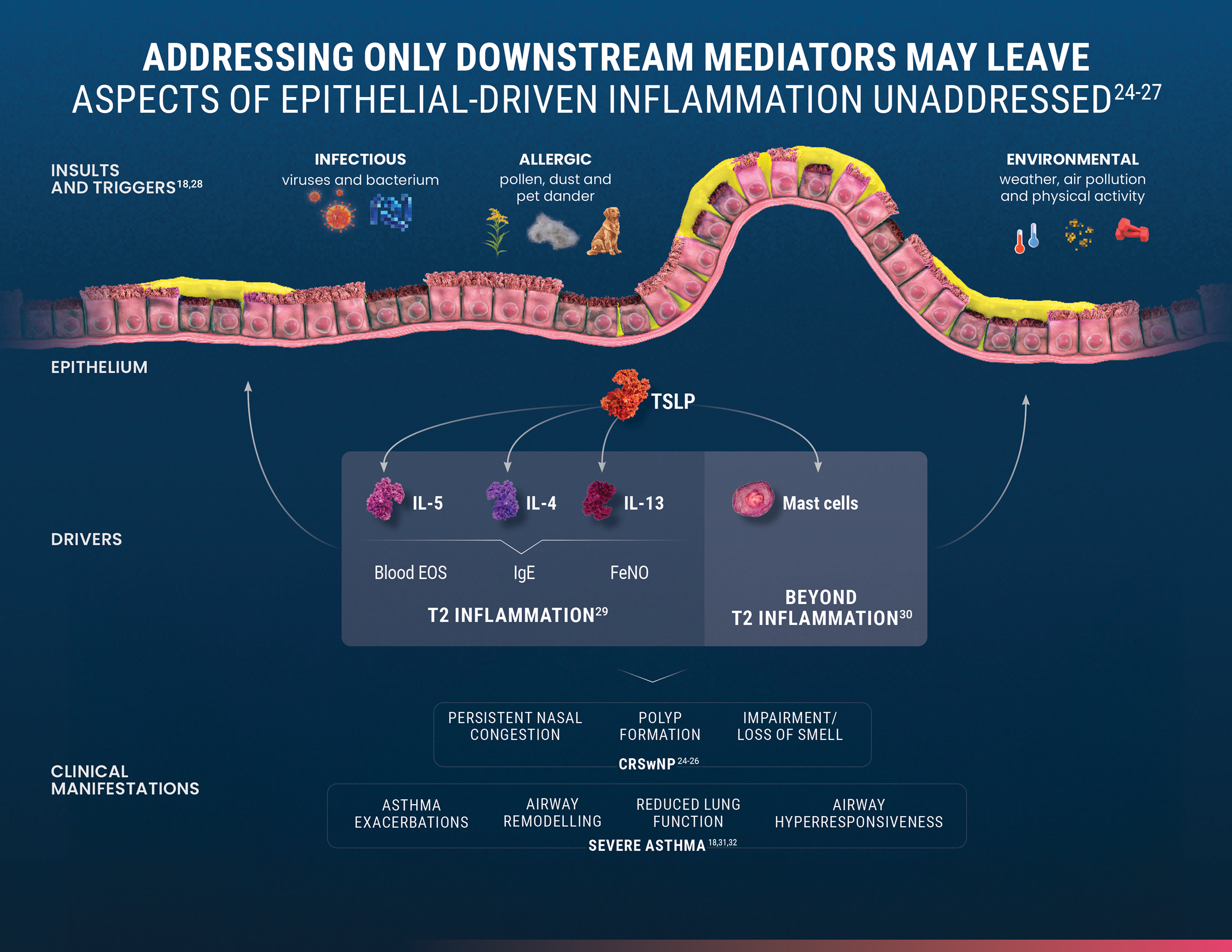 Tezspire-tezepelumab-mechanism-of-action-targeting-top-of-inflammatory-cascade