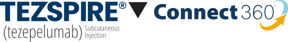 connect 360 logo