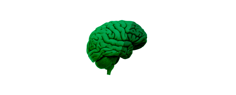 brain-icon
