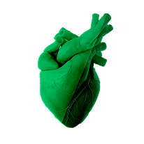heart-icon