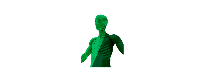 musculoskeletal-icon