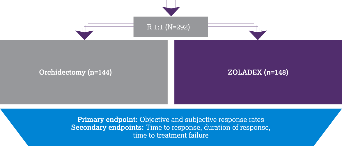 Kaisary AV et al. metastatic prostate cancer study design