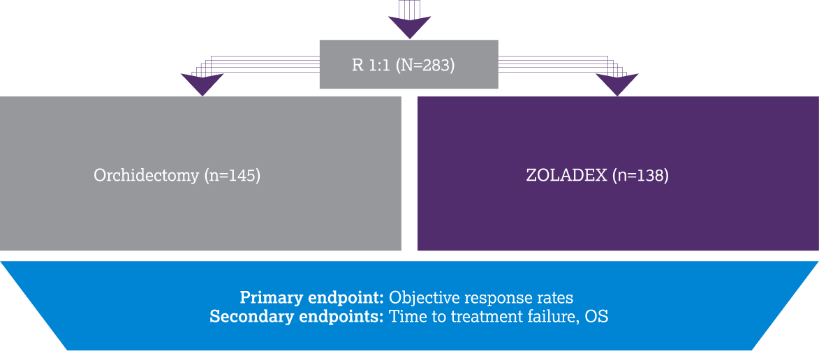 Vogelzang NJ et al. metastatic prostate cancer study design