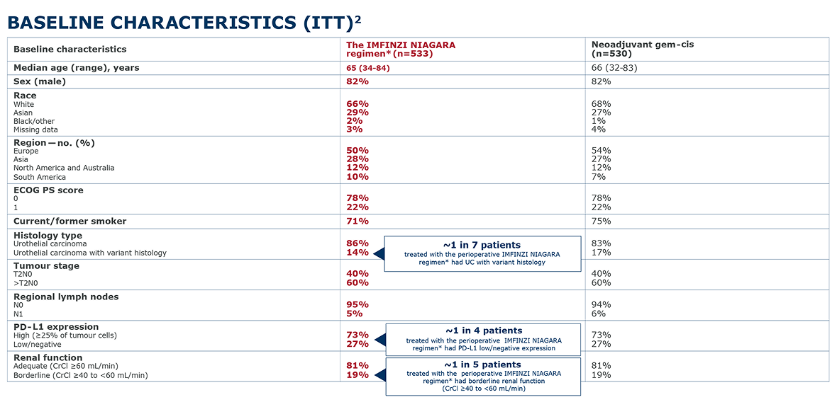 NIAGARA trial baseline characteristics