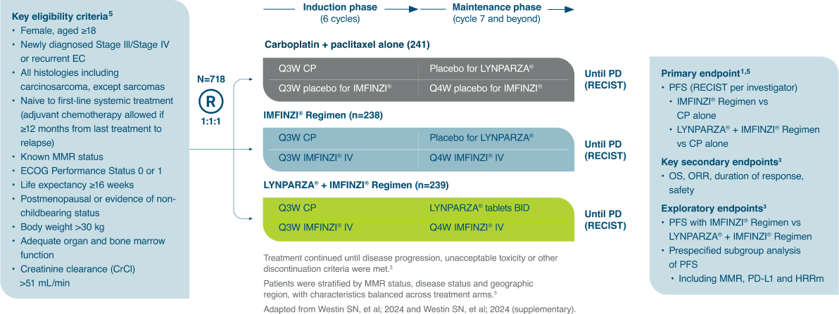 overview of study design of DUO-E