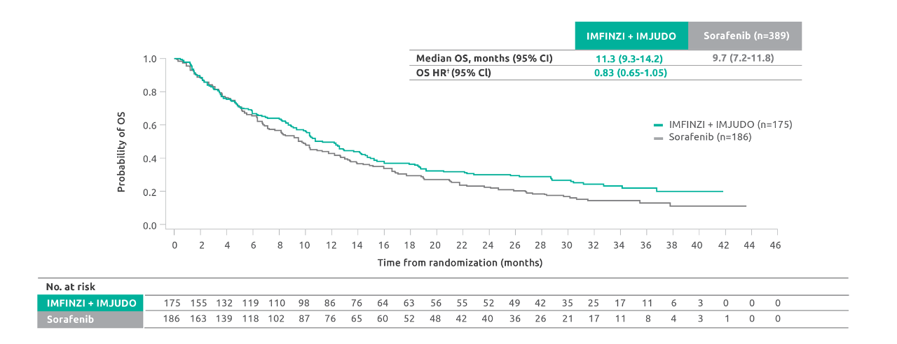 A graph showing the median OS with the STRIDE regimen vs sorafenib, with a consistent reduction in the risk of death (HR 0.79) in this exploratory subgroup analysis in the IMFINZI HIMALAYA HCC Trial.