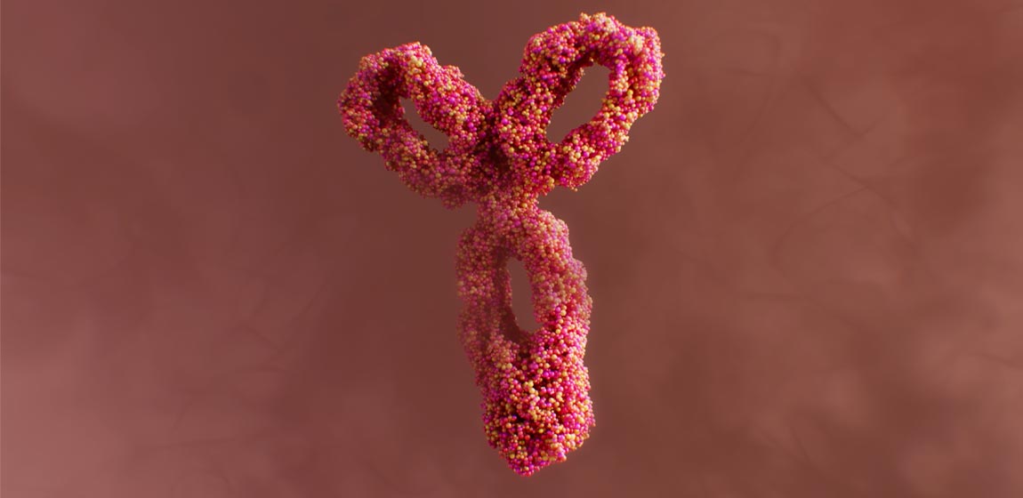 Mechanism of action image of the binding of PD-L1 with the PD-1 receptor on T-cells