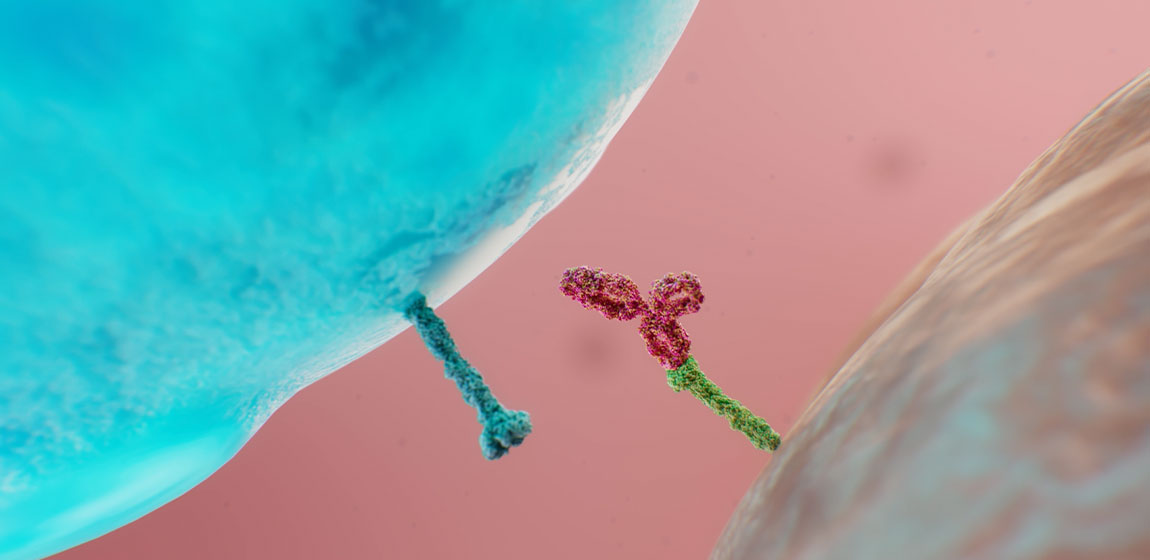 Mechanism of action image of IMFINZI (durvalumab), chemotherapy and NSCLC tumour