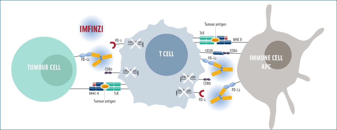 Tumor-cell