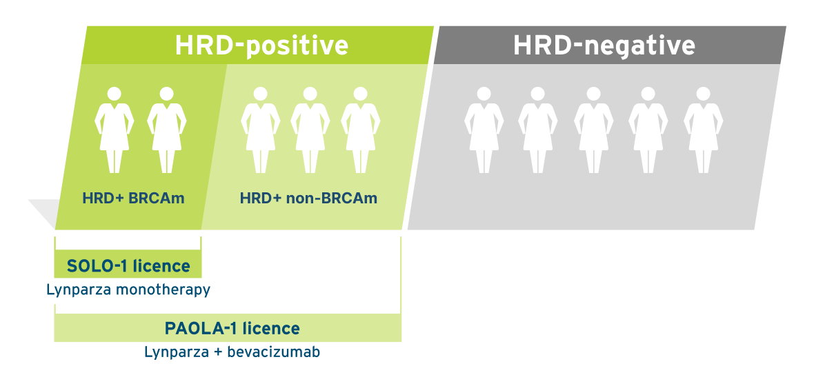 Infographic showing that aOC patients have shorter treatment-free intervals over subsequent lines of therapy without maintenance