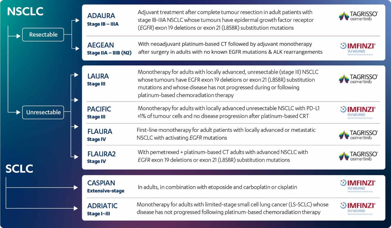 Image of all the licensed indications for AstraZeneca across  IMFINZI (durvalumab) and Tagrisso (osimertinib) in NSCLC and SCLC