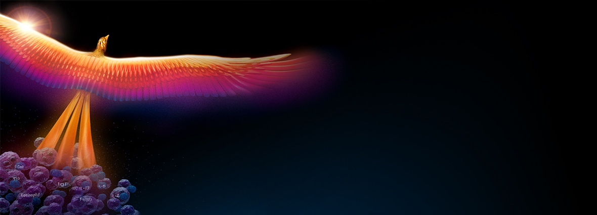 bird-image