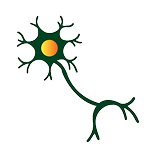 nerve-icon