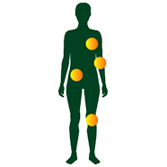 human-icon