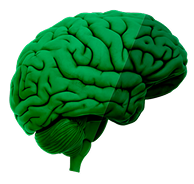 brain-icon