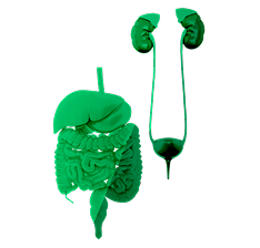 stomach-issues